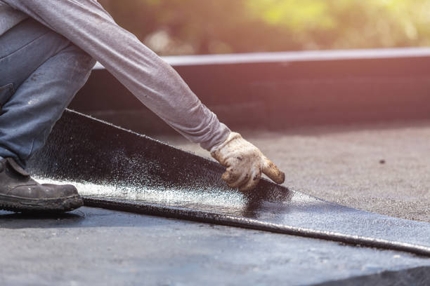 Professional Wet Basement Repair technician working in Stockton, IL